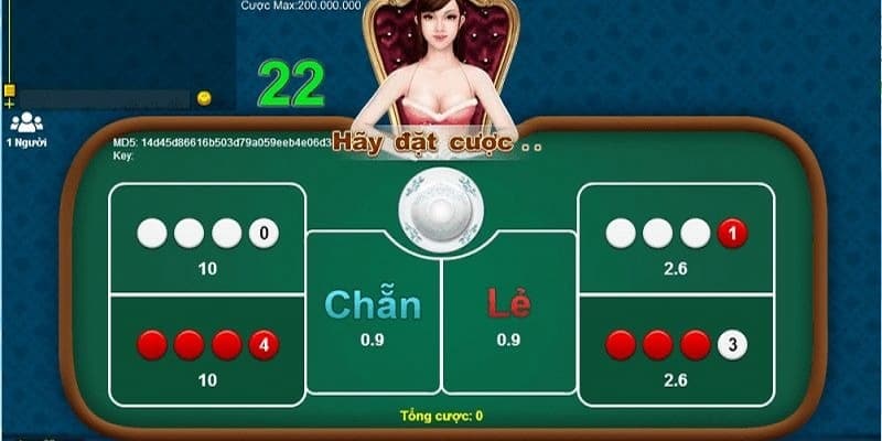 Cược chẵn lẻ sóc đĩa online Cược chẵn lẻ sóc đĩa online tổng quan