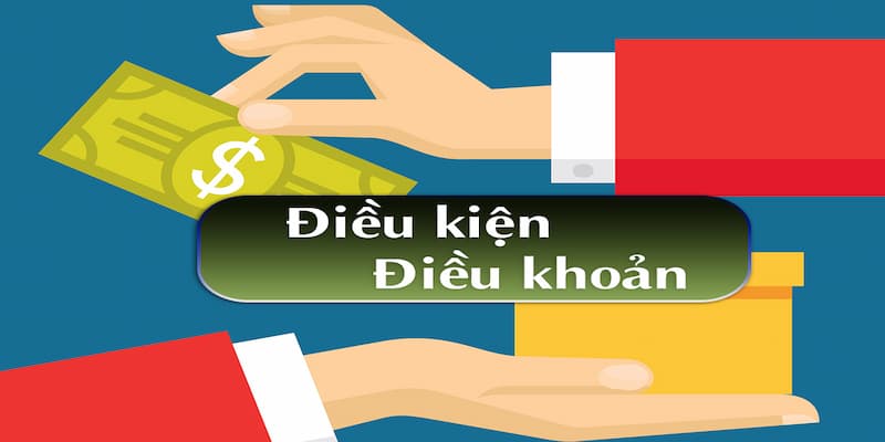 Điều kiện điều khoản đảm bảo quyền lợi và trách nhiệm
