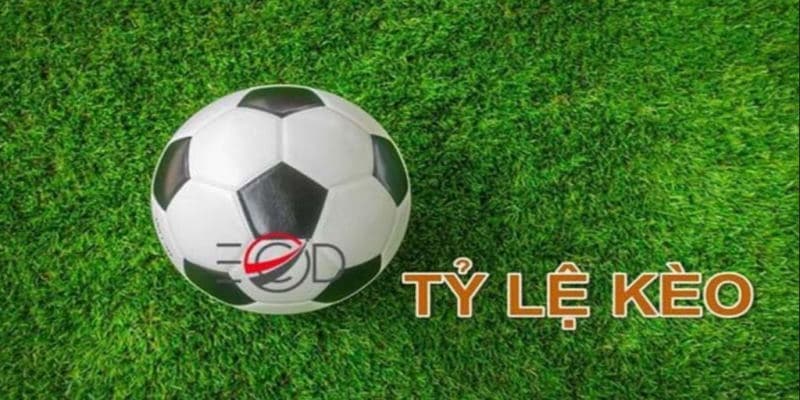 Tỷ lệ kèo lưu ý quan trọng